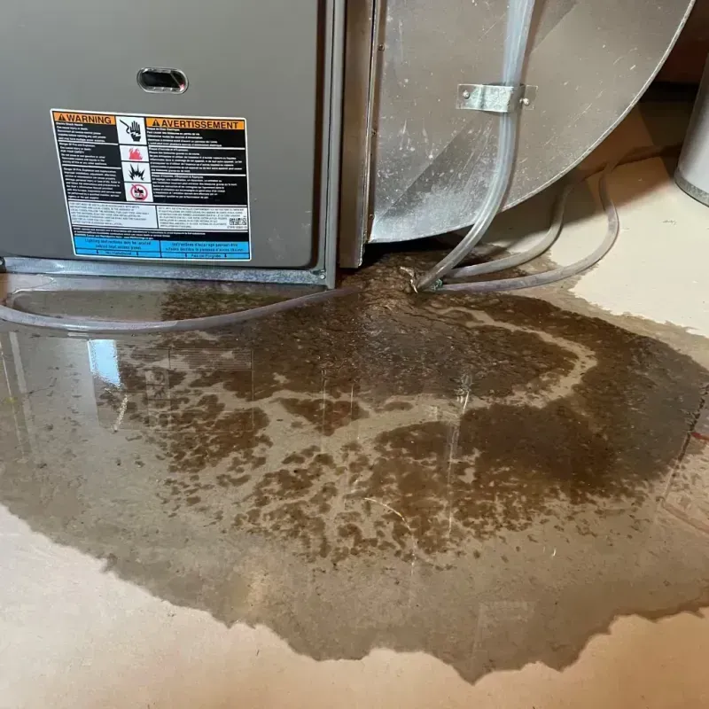 Appliance Leak Cleanup in Wylie, TX